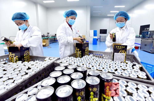 青砖凉茶试产 生物科技开启健康新风尚
