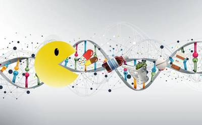 基因检测在体检中的应用 能否测智力和特长，以及哪些人群需要