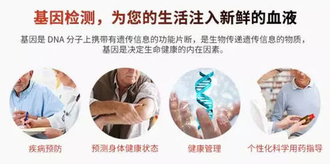 基因检测 防治痛风的新钥匙